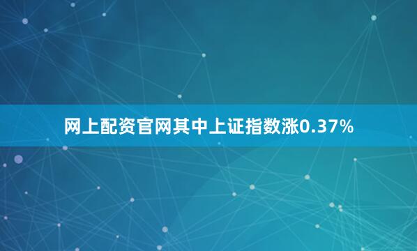 网上配资官网其中上证指数涨0.37%