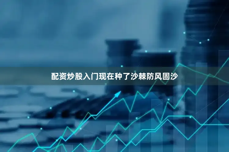 配资炒股入门现在种了沙棘防风固沙